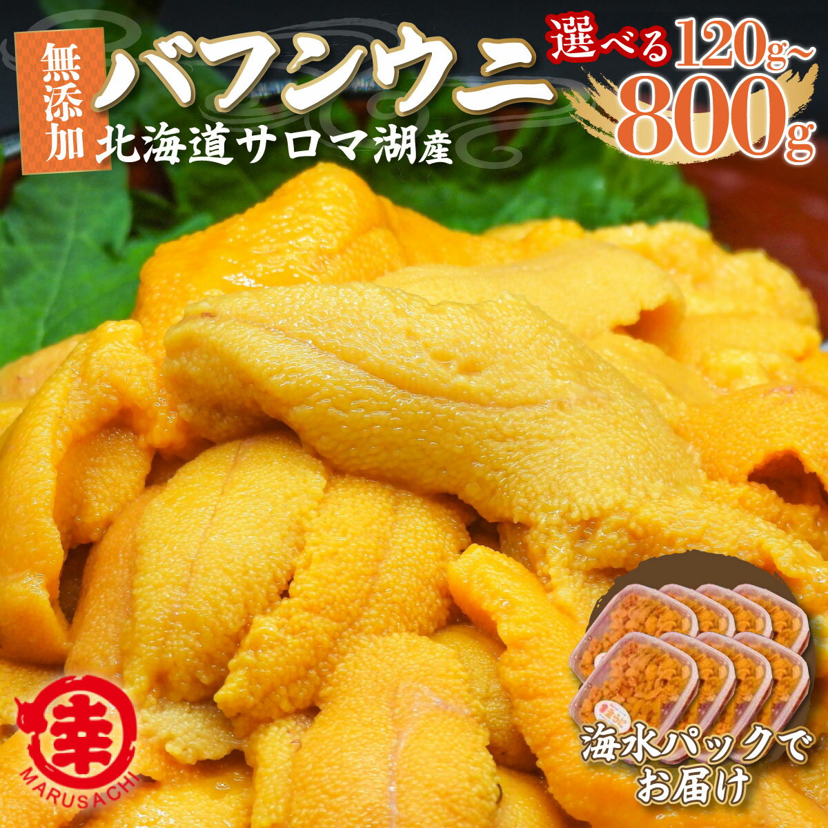 【ふるさと納税】【先行予約】サロマ湖産 無添加 バフンウニ 選べる 120g ～ 800g 海水パック 【 ふるさと納税 人気 おすすめ ランキング 魚介類 うに ばふんうに バフンウニ 雲丹 ウニ 海鮮丼 ウニ丼 新鮮 オホーツク 北海道 佐呂間町 送料無料 】 SRMA021