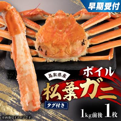 ふるさと納税 智頭町 早期受付　鳥取県産タグ付きボイル松葉ガニLL　1枚【2025/10/31までのお申し込み分】