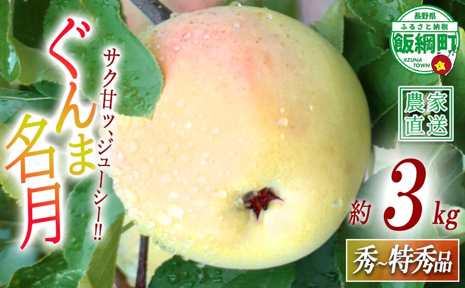 
                  りんご ぐんま名月 秀 ～ 特秀 3kg 丸山りんご園 沖縄県への配送不可 2026年11月上旬頃から2026年12月上旬頃まで順次発送予定 令和8年度収穫分 信州 果物 フルーツ リンゴ 林檎 長野 予約 農家直送 長野県 飯綱町 [1003]
                