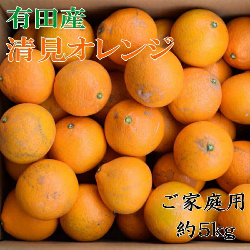 【ふるさと納税】【先行予約】【濃厚】有田産清見オレンジ約5kg(サイズおまかせまたは混合)ご家庭用　※2027年3月上旬～2027年3月下旬頃発送予定（お届け日指定不可） / みかん オレンジ 和歌山 有田みかん 柑橘 フルーツ 果物【tec988】
