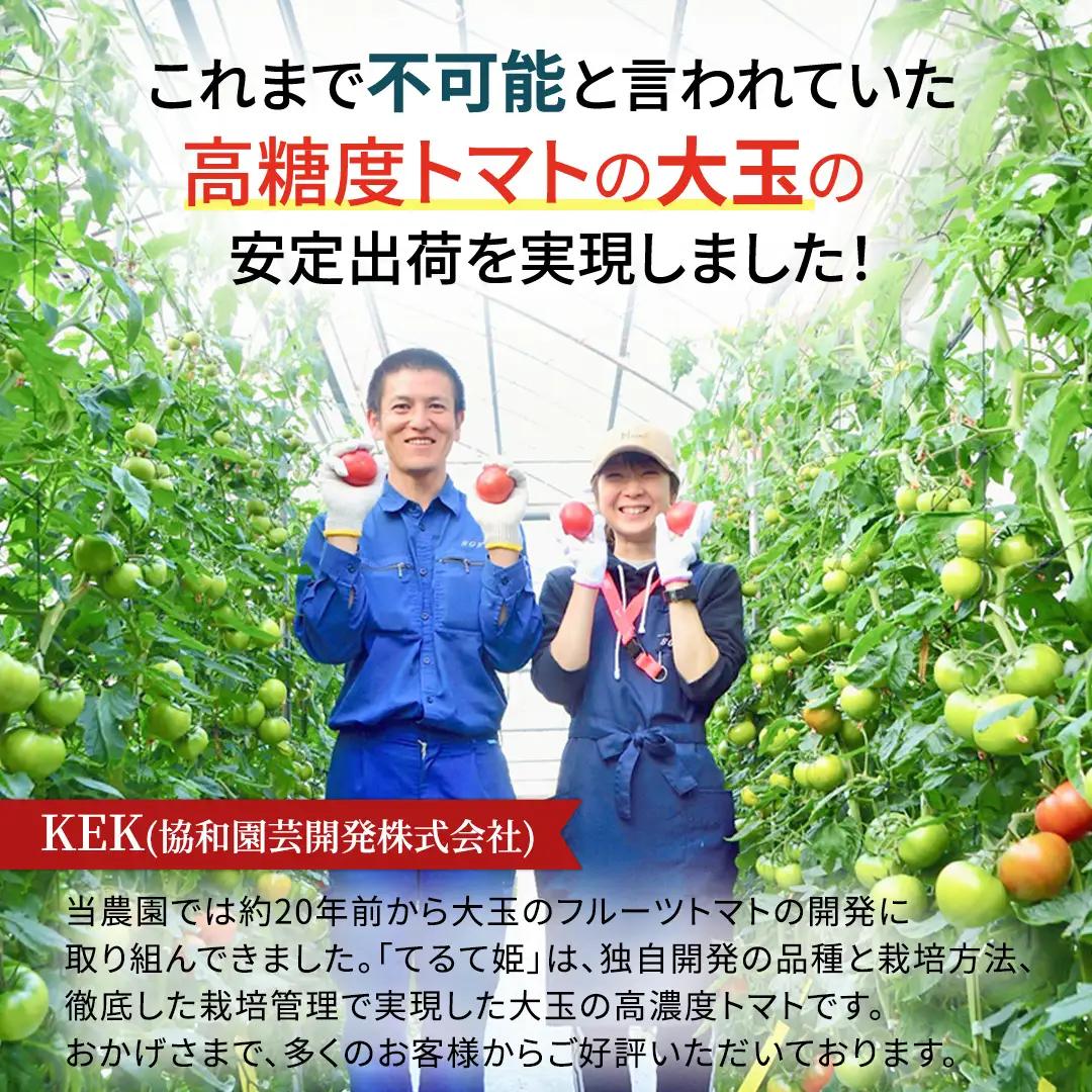 《 2027年 収穫分 》2～6月配送 スーパーフルーツトマト てるて姫 中箱  約1.2kg×2箱【12〜15玉/1箱】 糖度9度以上 先行予約 フルーツトマト ブランドトマト 野菜 ギフト 贈答 