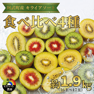 キウイ フルーツ 食べ比べセット 約1.9kg （ 4種アソート ） 阿武町産 希少品種を厳選！ 旬の味 を堪能 フルーツ 果物 デザート 山口県産 【お届け：2025年11月14日頃～2026年2月下旬頃】※品種指定不可・合計8種から4種をお届け