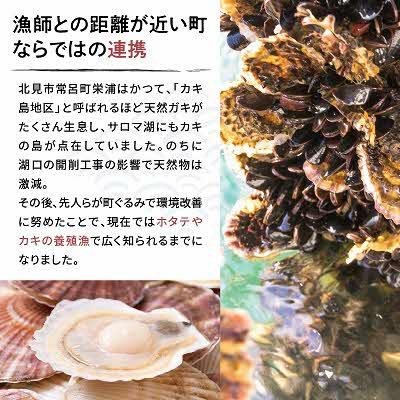 ふるさと納税 北見市 サロマ湖産　カキの缶詰 100g×2缶 |  | 03