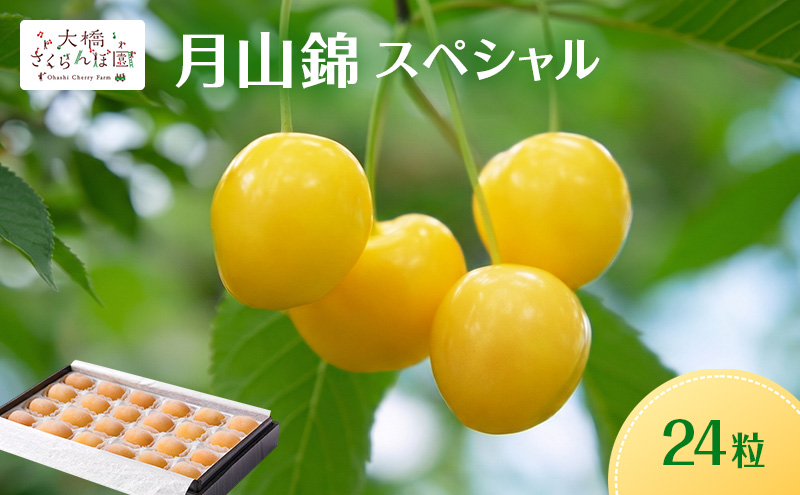 【先行予約】さくらんぼ 月山錦 スペシャル 24粒 化粧箱入 