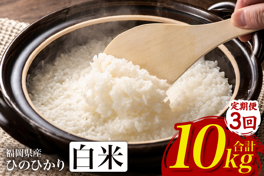 【3回定期便】【ふるさと納税】ひのひかり 米 お米 白米 10kg  10キロ 福岡県産 うきは市 国産 精米 ご飯 ごはん おにぎり お弁当 人気 おすすめ 家庭用 送料無料 新米 ストック 厳選 農家直送 大容量【JA福岡くるめ にじの耳納の里】