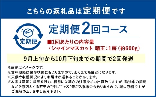 【2回定期便】シャインマスカット 晴王 １房 約600ｇ２回 定期便 9月・10月に1回ずつ発送 種無し 皮ごと食べる フレッシュ 旬の美味しさ【2026年9月上旬発送開始】【岡山県産 種無し 皮ごと