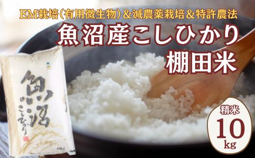 【令和7年産】農家直送の棚田米 魚沼産コシヒカリ 白米 精米 合計10kg(10kg×1袋) 佐藤農場 |新潟県産 コシヒカリ お米 米 おこめ こめ コメ こしひかり 魚沼産 ブランド米【0018-0020】