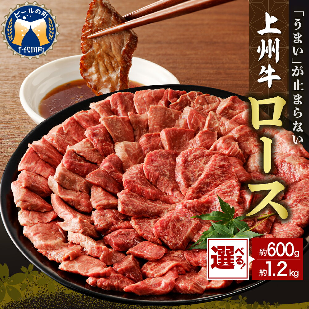 【ふるさと納税】 牛肉 ロース 【 上州牛 】( 選べる : 600g / 1.2kg )国産 和牛 和牛肉 ブランド牛 精肉 肉 お肉 焼肉 バーベキュー BBQ キャンプ アウトドア 食品 冷凍便 グルメ お取り寄せ グルメ 送料無料 群馬 県 千代田町