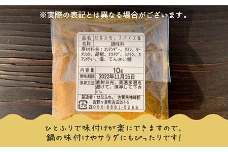 ＜テレビで紹介された人気カレー店＞ブレンド万能スパイス塩 10袋セット【せなふち。】 [FCM001]