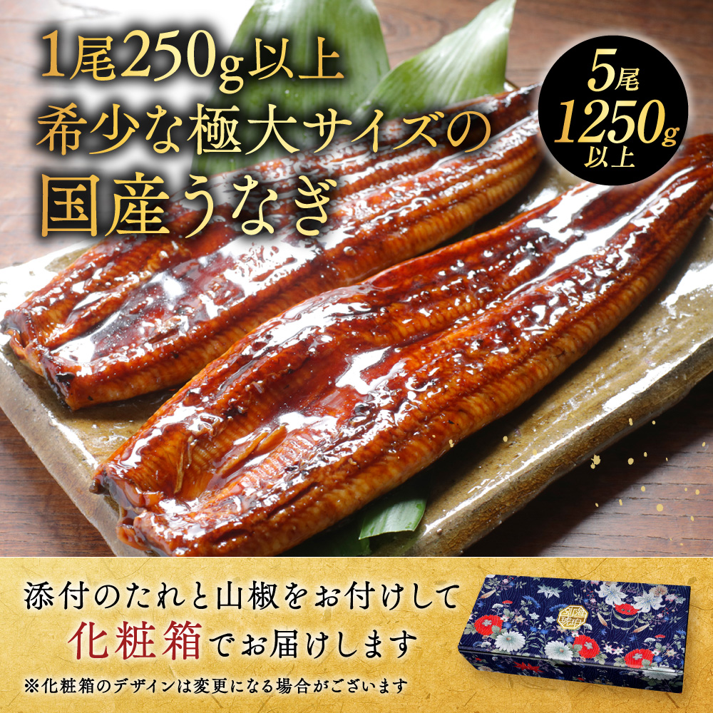 （6月）国産 希少 極大 特上うなぎ(250g×5尾)【OT000OE50_006】_イメージ2