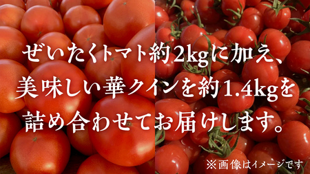 野口農園 ！ ぜいたくトマト（2kg）と華クイン（1.4kg） トマト 新鮮 美味しい 野菜