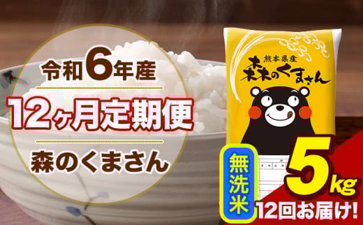令和6年産 森のくまさん 無洗米 5kg 5kg×1袋 計12回お届け 《お申し込み月の翌月から出荷開始》 お米 こめ 熊本県産 ご飯 備蓄
