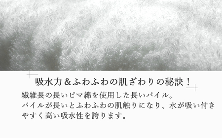 今治タオルブランド バスタオル 10枚セット MEZAME （ベージュ） 【５SECONDS】