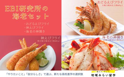 
                  【セット】EBI研究所の海老セット (おどるえびフライ・神えびフライ・海老の神開き）
                