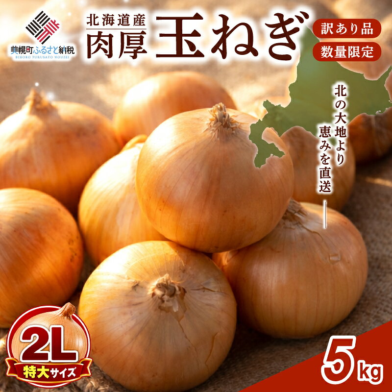【ふるさと納税】 数量限定 玉ねぎ 5kg 【 先行予約 R8年度産 2Lサイズ】 人気 ランキング 玉ねぎ 国産 野菜 北海道 美幌町