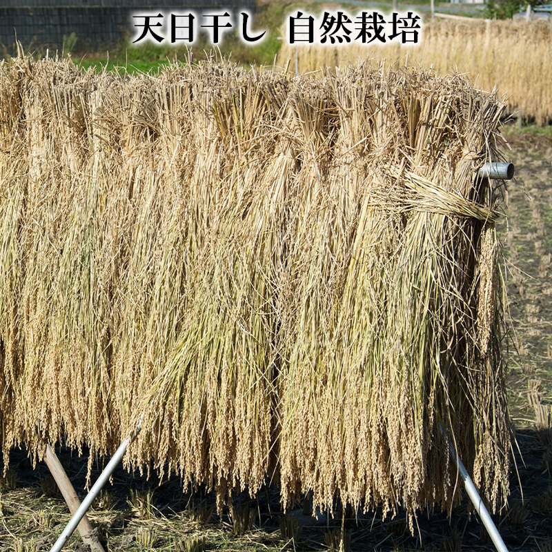 【令和7年産新米】 天日干しの手間をかけた (新米はえぬき)