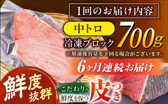 【全6回定期便 (月1回) 】長崎県産 本マグロ 中トロ皮付き 約700g 【大村湾漁業協同組合】 [BAK026] / マグロ まぐろ 中トロ 中とろ 刺身