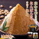 【ふるさと納税】大地の熟成 手造り味噌 700g なんばん味噌 240g 山わさび 80g セット 十勝産大豆 調味料 わさび 味噌汁 ラーメン うどん パスタ 送料無料 北海道 十勝 芽室町