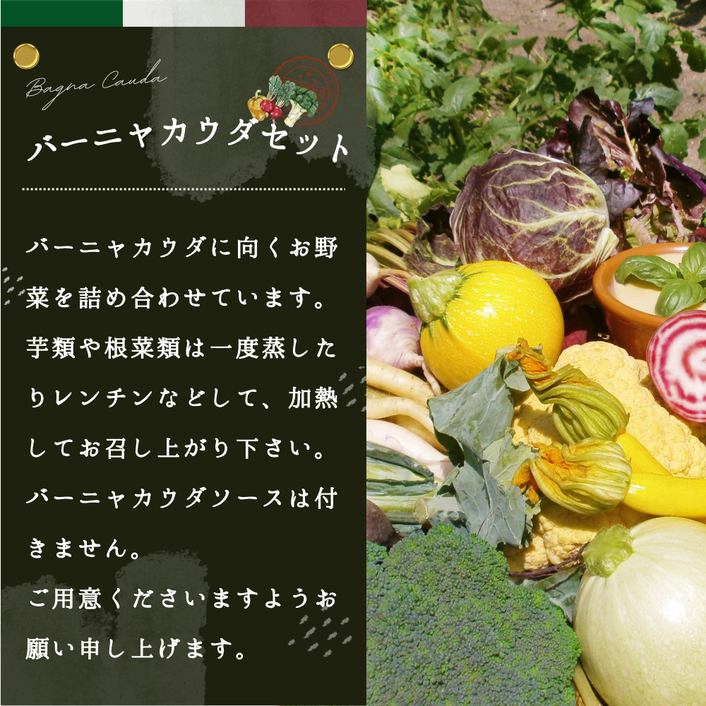 年間定期便12回 バーニャカウダ野菜セットレギュラー 12品 【有機野菜 おまかせ野菜セット イタリア野菜 西洋野菜 定期便】(H078143)
