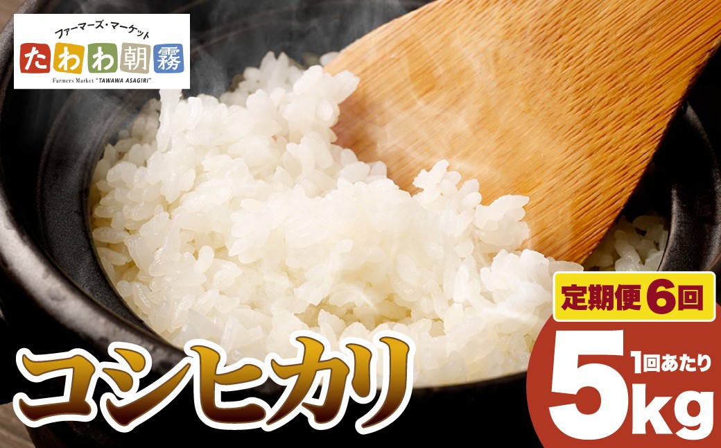 
                  【期間限定 生活応援】京都丹波産 こしひかり 精米 5kg × 6回 定期便【JA京都たわわ朝霧】 白米 米 お米 こめ コメ ライス ご飯 ごはん ふっくら つやつや おいしい 美味しい 贈り物 単一原料米 国産 コシヒカリ 仕送り お取り寄せ 令和7年産米 産地直送 定期便米 米定期便 人気 おすすめ 5キロ 30キロ ５ｋｇ ３０ｋｇ ５キロ ３０キロ 
                