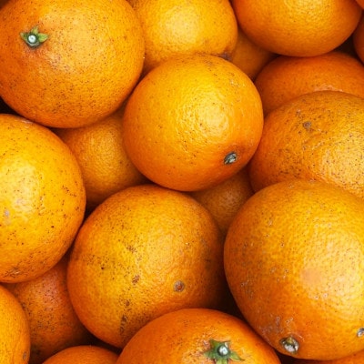 【ご家庭用】紅まどんな と同品種 2kg 八幡浜市 愛媛果試28号【C25-382】【1717465】