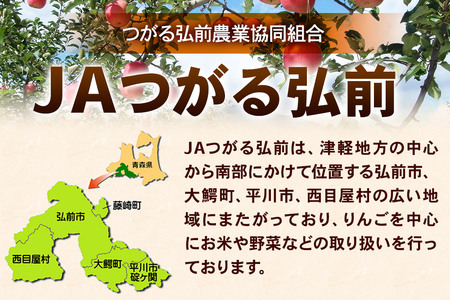 林檎四季りんごジュースセット1L×6本