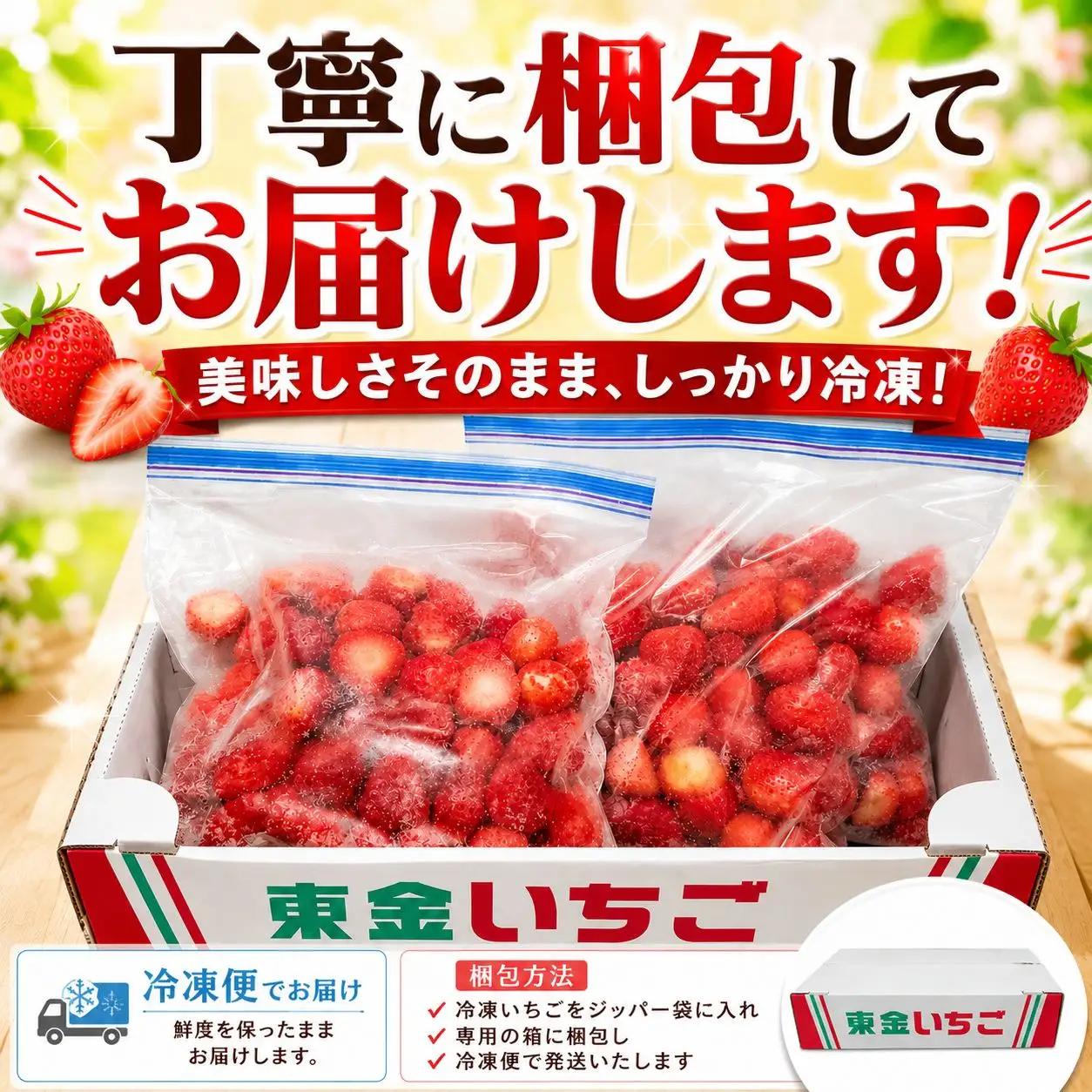 冷凍いちご 2kg 瞬間冷凍 苺