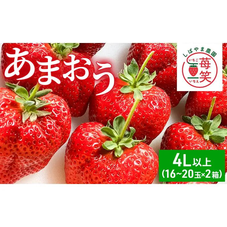 いちご 朝倉市産 あまおう 4L以上 16玉～20玉×2箱 いちご イチゴ