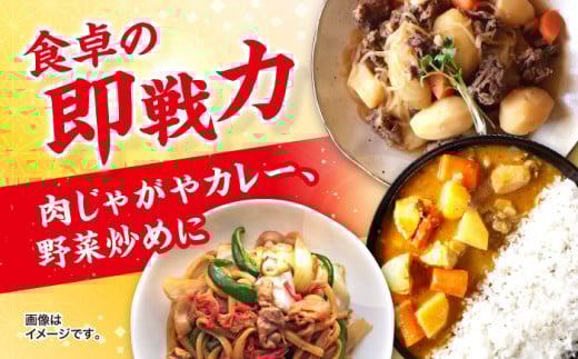 切り落とし 長崎県産 豚 切り落とし 約1kg（約500g×2パック） 豚肉 ブタ 豚肉 切り落とし 国産豚 きりおとし 切り落とし 小分け  ＜宮本畜産＞ [CFA003]