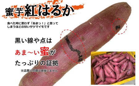 さつまいも 5kg 熊本県産 シルクスイート 紅はるか