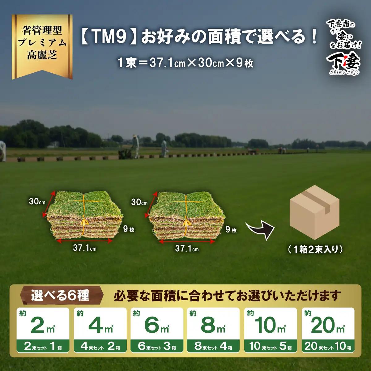【先行予約】2㎡分 省管理型プレミアム高麗芝 「TM9（芝生）」コウライシバ ティーエムナイン 【2027年3月下旬頃から出荷予定】
