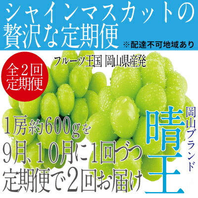 【ふるさと納税】ぶどう 2026年 先行予約 【2回定期便】 シャイン マスカット 晴王 1房 約600g ブドウ 葡萄 岡山県産 国産 フルーツ 果物 ギフト デザート 食後 酸味が少ない 9月・10月にお届け ハレノフルーツ　お届け：2026年9月中旬〜2026年10月下旬