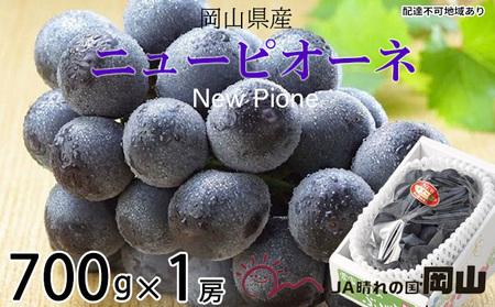 ぶどう 2026年 先行予約 ニュー ピオーネ 約700g×1房 ブドウ 葡萄  岡山県産 国産 フルーツ 果物 ギフト 果物類 ニューピオーネ 酸味 大粒 種なし 人気 高糖度 甘い 果汁 