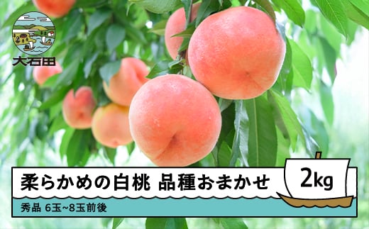 【先行予約】 桃 もも 柔らかめの白桃 品種おまかせ 2kg 山形県産 2026年産 令和8年産 ふるさと納税 果物 くだもの フルーツ 期間限定 冷蔵配送 先行受付 グルメ 取り寄せ ご当地 特産 産地 直送 送料無料 東北 山形県 人気  果実 送料無料 ry-mohts2000