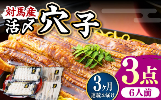 【全3回定期便】対馬産 活〆 穴子 ３点 セット E【THE・対馬株式会社】《対馬市》新鮮 あなご 刺身 天ぷら 海鮮 肉厚 簡単調理 六人前 [WAS018]