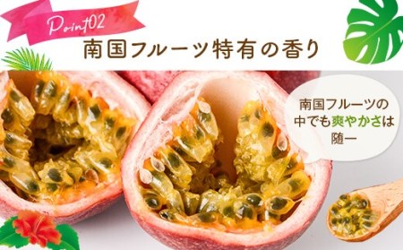 【数量限定】 甑島のパッションフルーツ 青果2.5kg ご自宅用 BS-639
