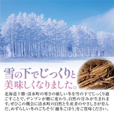 ふるさと納税 清水町 先行受付!2026年4月頃〜発送開始!北海道十勝清水町産 越冬ごぼう! 5kg |  | 01