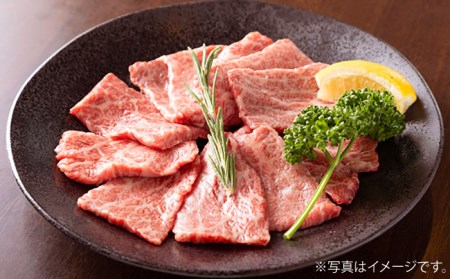 【全12回定期便】長崎和牛 モモスライス 毎月400g（200g×2袋） （自家製ダレ付）長与町/炭火焼肉あおい  [EBW013] モモスライス 和牛 国産 焼肉 モモ モモスライス 和牛 国産 焼