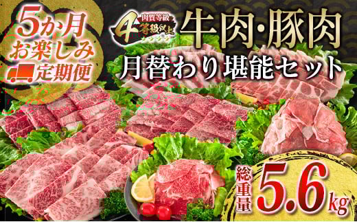 【令和8年3月から毎月配送】5か月定期便 月替わりで堪能!! 牛肉 豚肉 焼肉 セット 豚バラ 肩ロース モモ ウデ 総重量5.6kg 国産 食品 おかず BBQ バーベキュー 小分け 宮崎牛 黒毛和牛 小間切れ 赤身 A4 A5 高級 グランピング お弁当 おすすめ 人気 ミヤチク 宮崎県 日南市 送料無料_JE5-25-B