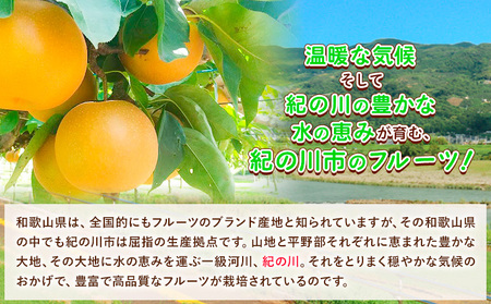 【先行予約】和歌山県紀の川市産 の幸水梨 約4kg （約10玉～15玉）紀の川市厳選館 《2026年7月下旬-8月中旬頃出荷》 和歌山県 紀の川市 果物 フルーツ なし ナシ 