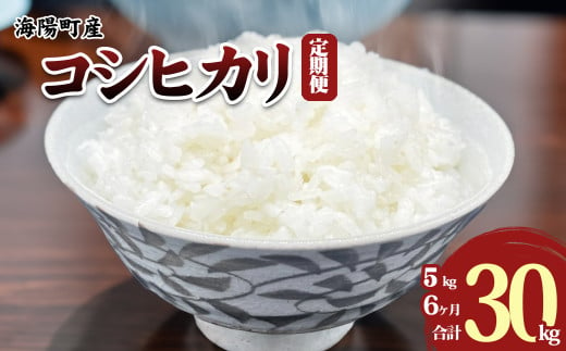 【定期便６か月連続】 新米 コシヒカリ 5kg×6回 30kg 海陽町産 こしひかり 米 お米 令和6年 定期便 6ヶ月 連続 海陽町産 コシヒカリ 5kg 6回