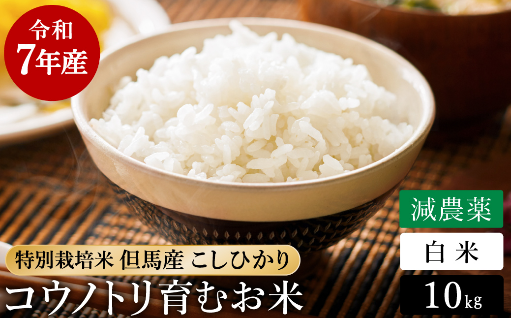 令和7年産 減農薬 白米 特別栽培米 10kg コウノトリ育むお米 但馬産 こしひかり 兵庫県産(5kg×2袋)（94-004）減農薬 お米 10キロ 精米 白米 コウノトリ米 コシヒカリ コメ こめ ご飯 ライス 減農薬米