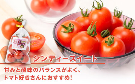 ミディアムトマト 8袋《壱岐市》【ISLAND FARM】[JFL001] とまと 野菜