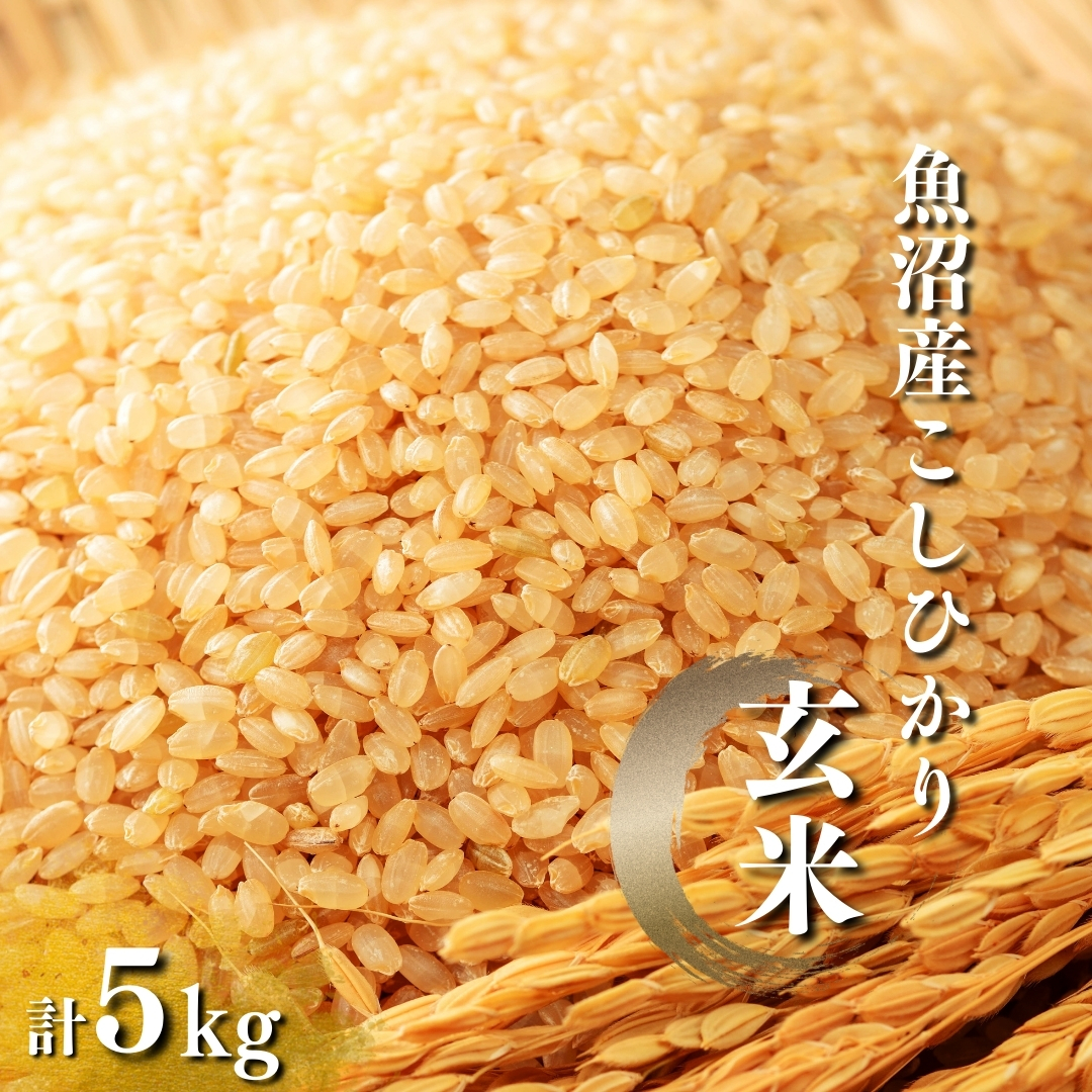 【玄米 選別品】令和7年産 魚沼産コシヒカリ 玄米 5kg×1袋 米太 | 新潟県産 コシヒカリ お米 米 おこめ こめ コメ こしひかり 魚沼産 ブランド米 人気 おすすめ 産地直送【0020-KT06-02】