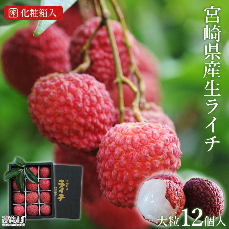【ふるさと納税】＜宮崎県産 生ライチ 大粒12個入り＞2025年7月上旬～7月下旬迄に順次出荷 茘枝 果物 フルーツ 果実 贈答用 ギフト ミキファーム 特産品 宮崎県 高鍋町 【冷蔵】