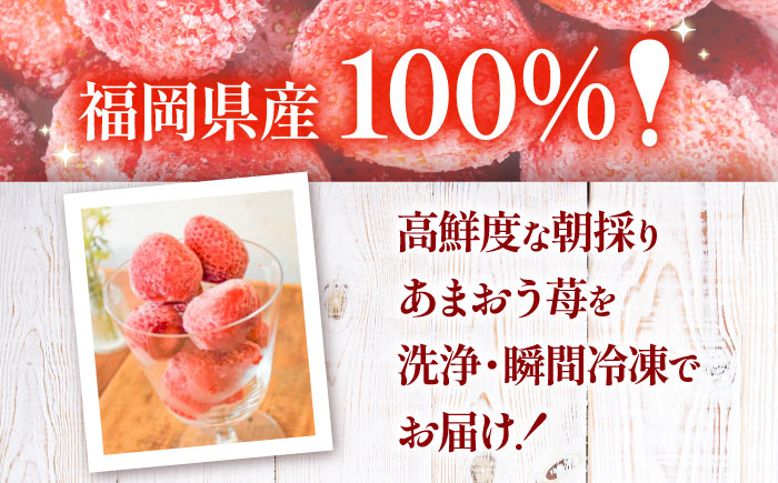 【訳あり】福岡県産 冷凍あまおう500g(250g×2個)　《豊前市》【株式会社木村食品】いちご 苺 イチゴ 取り寄せ [VEG011]
