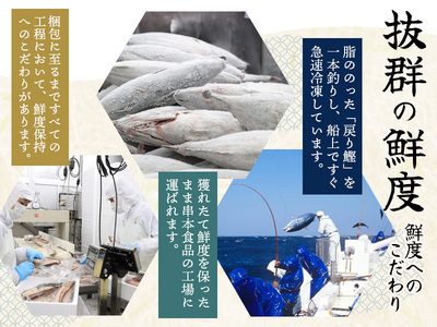 ＼訳あり／ 藁焼き かつおのたたき 3kg (藻塩付き) / 増量 訳アリ 鰹 カツオタタキ カツオのたたき 鰹のたたき 丼 刺身 【２ヶ月以内に順次発送】【nks107A】