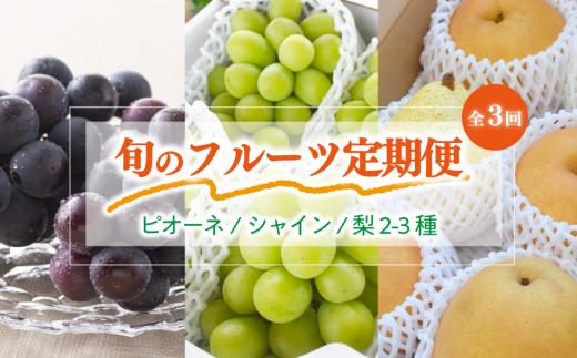 KF-T051-01【きよとうファーム】ピオーネ＆シャインマスカット＆梨詰合せ！旬のフルーツ３回便(定期便)(岡山県産)