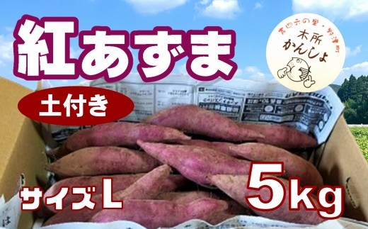 木所かんしょ（紅あずま）５㎏【栽培期間中化成肥料不使用】土付き さつまいも Lサイズ