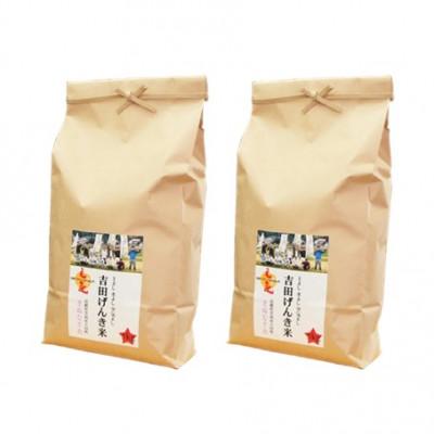 ふるさと納税 雲南市 島根県雲南市産　吉田げんき米　きぬむすめ　10kg(5kg×2) |  | 01